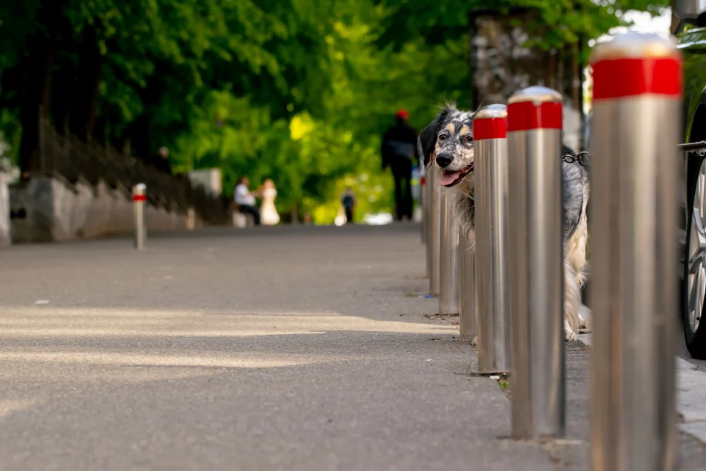 a-beautiful-clean-sidewalk-with-a-slope-downwards-2024-12-05-19-56-27-utc-min